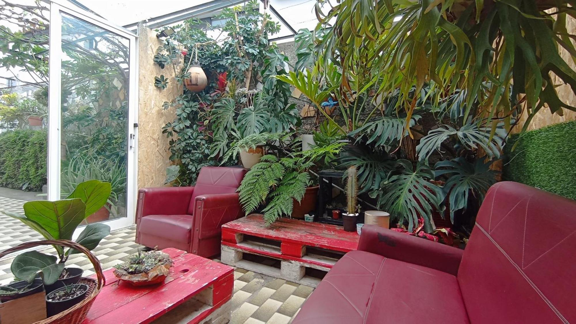 Kanela Guest House マシコ エクステリア 写真