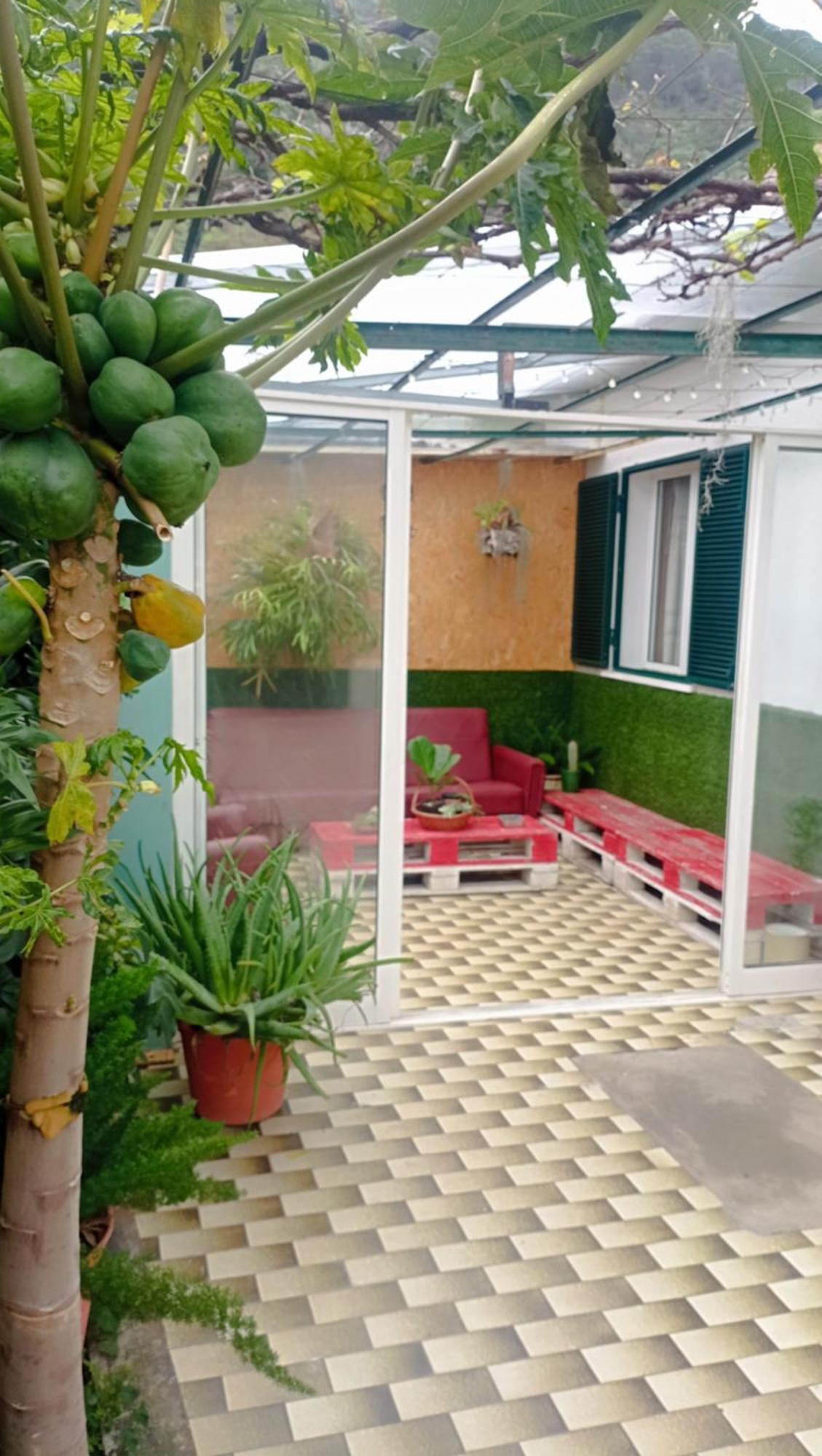 Kanela Guest House マシコ エクステリア 写真