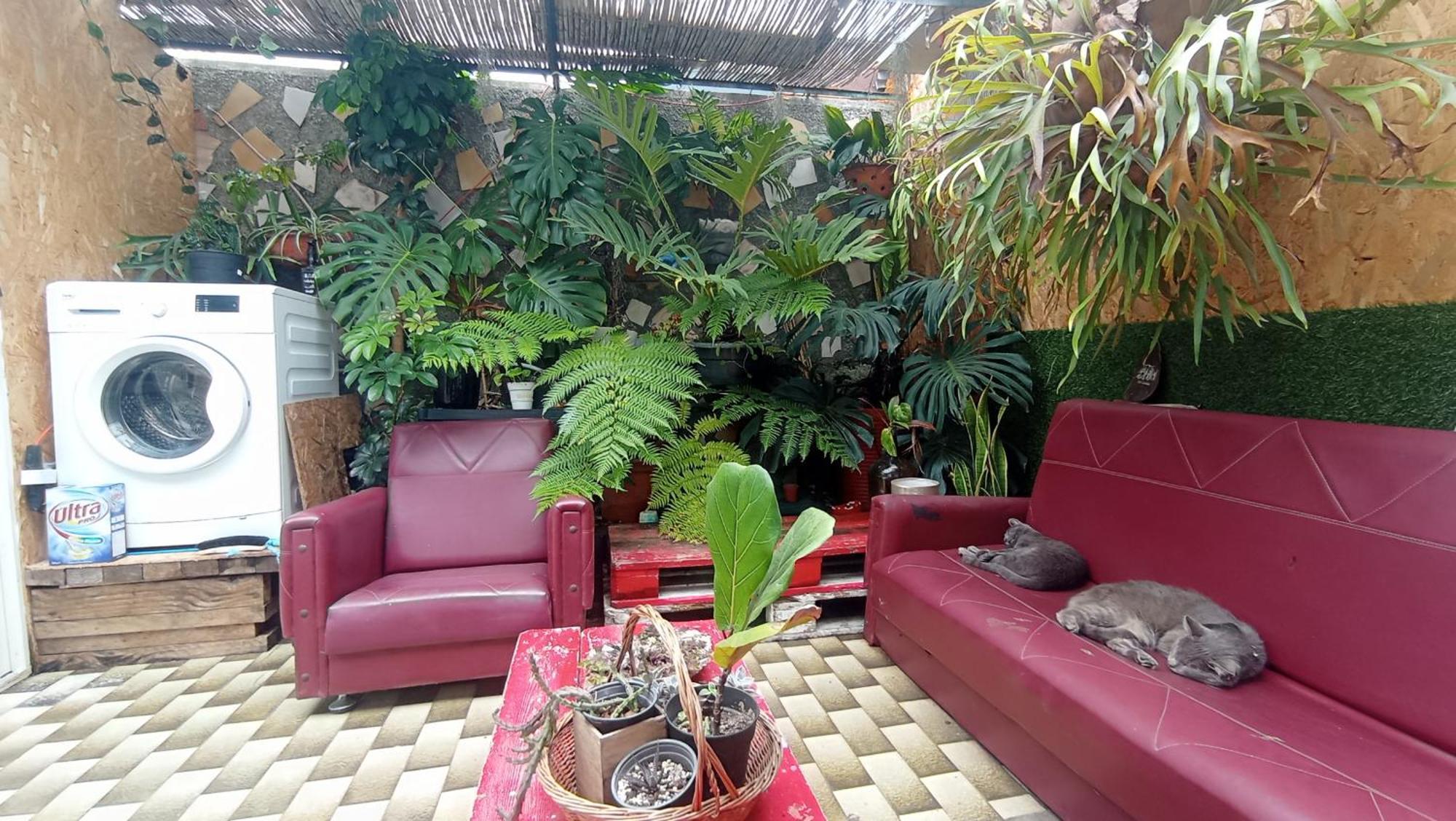 Kanela Guest House マシコ エクステリア 写真